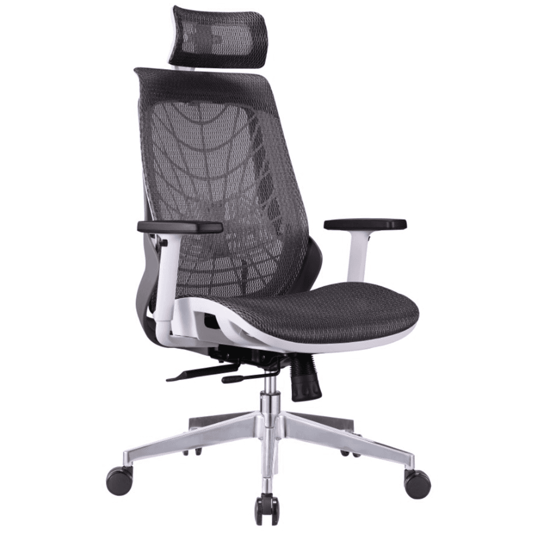 Spider HB Mesh seat in Mumbai by Woodware