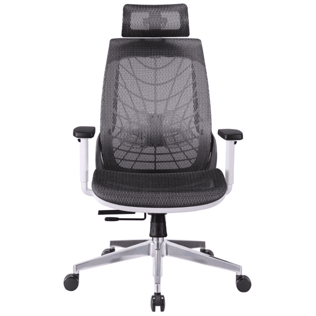 Spider HB Mesh seat - SpiderHBFront in Mumbai by Woodware