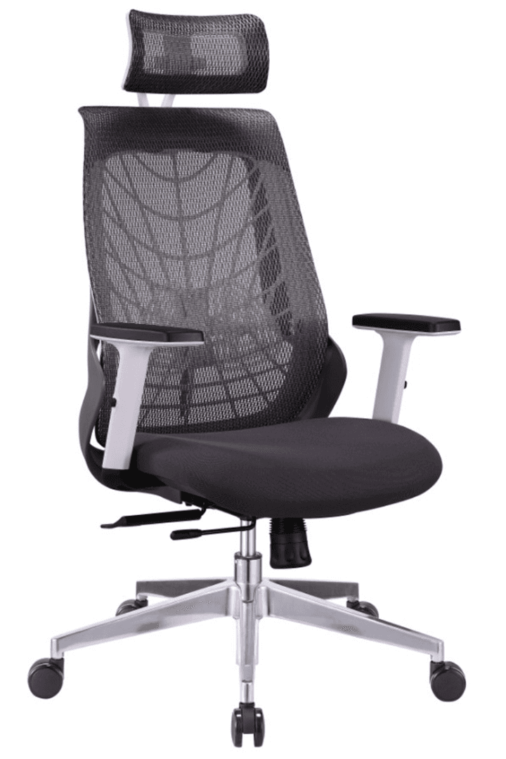 Spider HB Cushion seat in Mumbai by Woodware